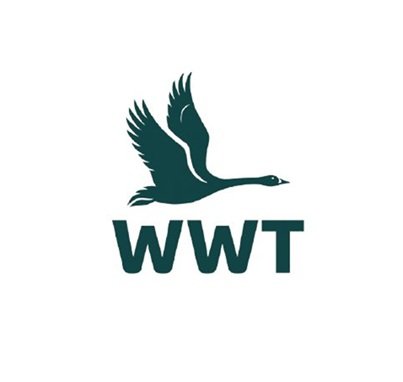 wwt