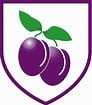 Plumcroft-Primary-School-matris-robotic