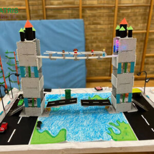 STEM-project-Matris-robotic.jpg